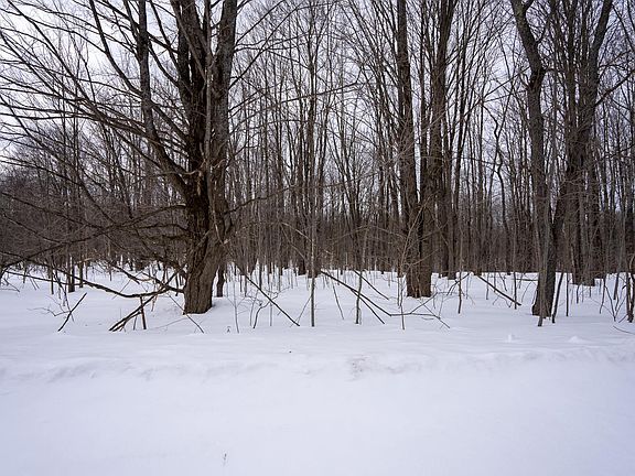 2nd image of Crestrose Dr