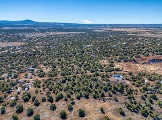 8458 Bobcat Dr, Show Low, AZ 85901