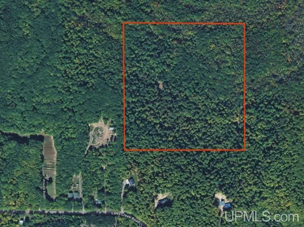Tbd39 Off Coles Creek Rd Parcel 12A, Houghton, MI 49931