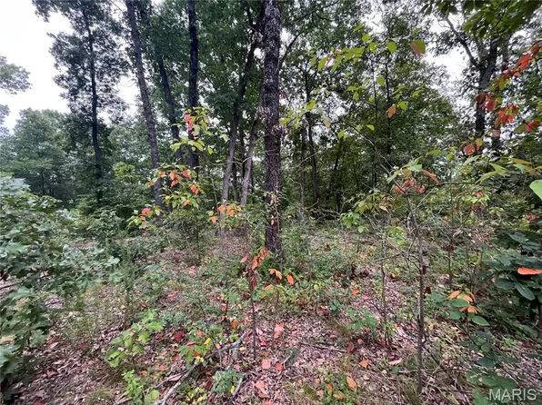 0 Partridge Dr, Climax Springs, MO 65324