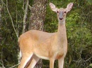 Powells Chapel Rd, Evening Shade, AR 72532