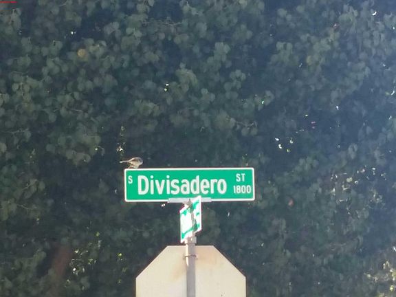 5th image of 1703 S Divisadero St