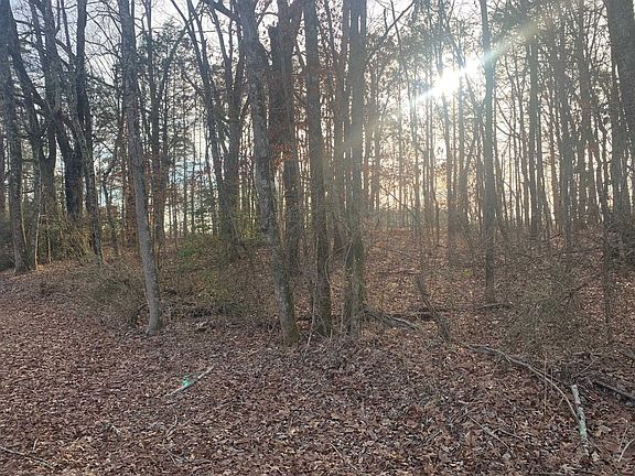 5th image of 7870 Buena Vista Rd