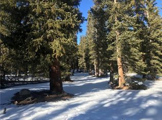 2844 County Road 14a, Fairplay, CO 80440