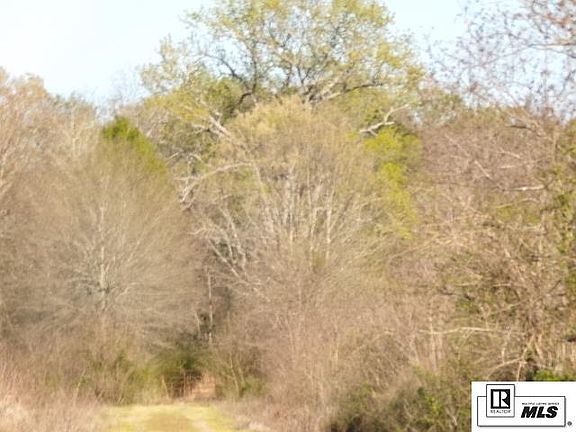3rd image of 0 Cruse Ln