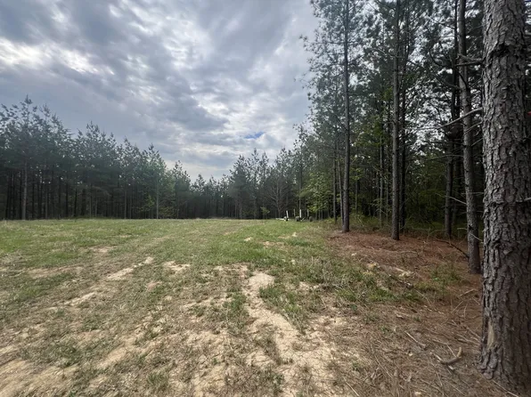 36 Pafford Ln, Erin, TN 37061