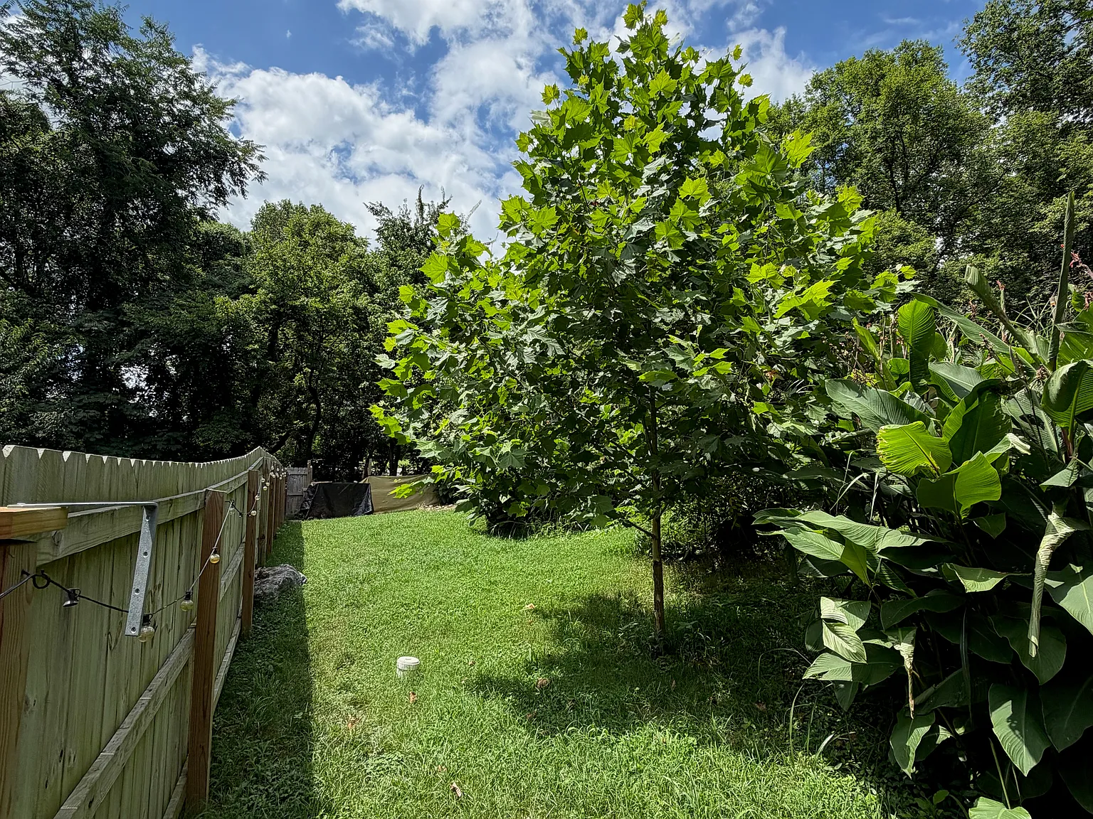 3 bed, 2.5 bath, 1413 sqft, $2,300 — Photo 4
