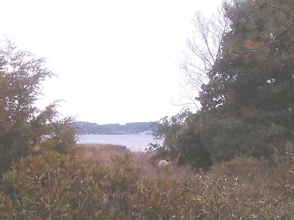 2nd image of 175 Timber Point Dr
