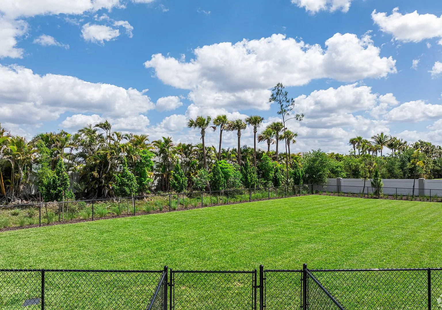 Azalea Park Apartments — Photo 3