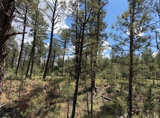 Timber Dr, Timberon, NM 88350