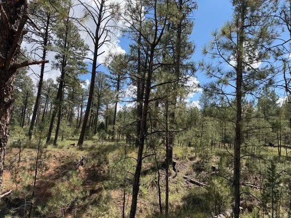 Timber Dr, Timberon, NM 88350
