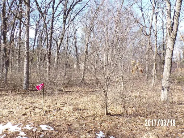 349 Pinehurst Drive Lot # 34, Nekoosa, WI 54457