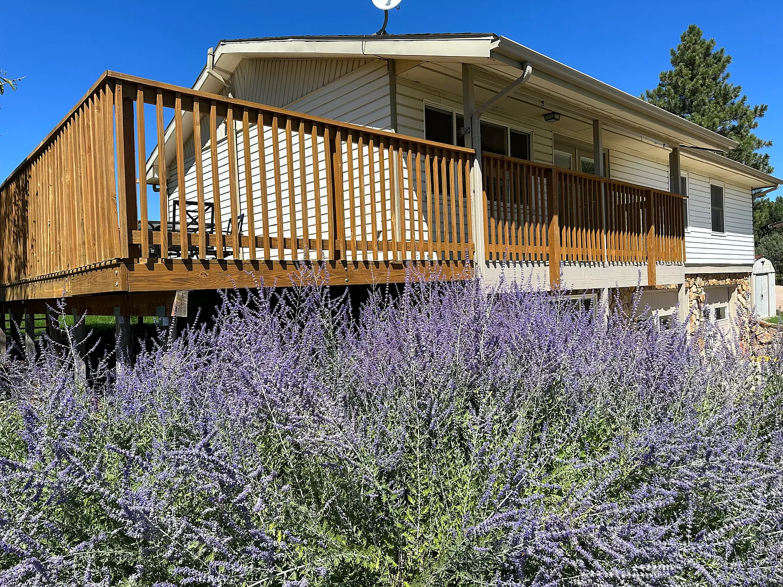 3 bed, 1650 sqft, $2,500 — Photo 1