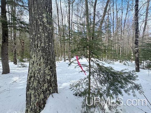 3rd image of LOT 7 W Tamarack Lake Rd