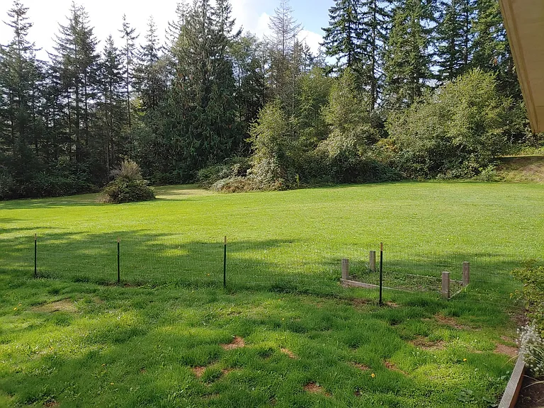 925 Classic Rd — Photo 31