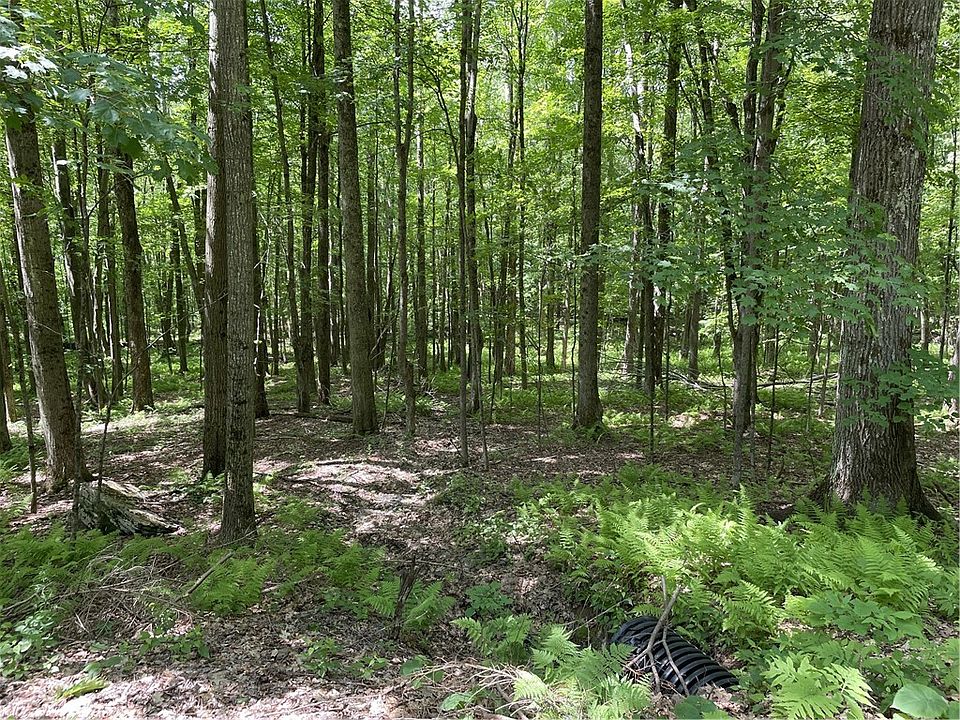 1st image of Skip Gray Rd Lot 3