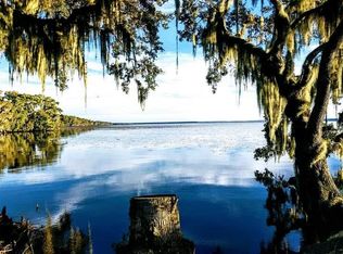 723 Harris Fish Camp Rd, Georgetown, FL 32139