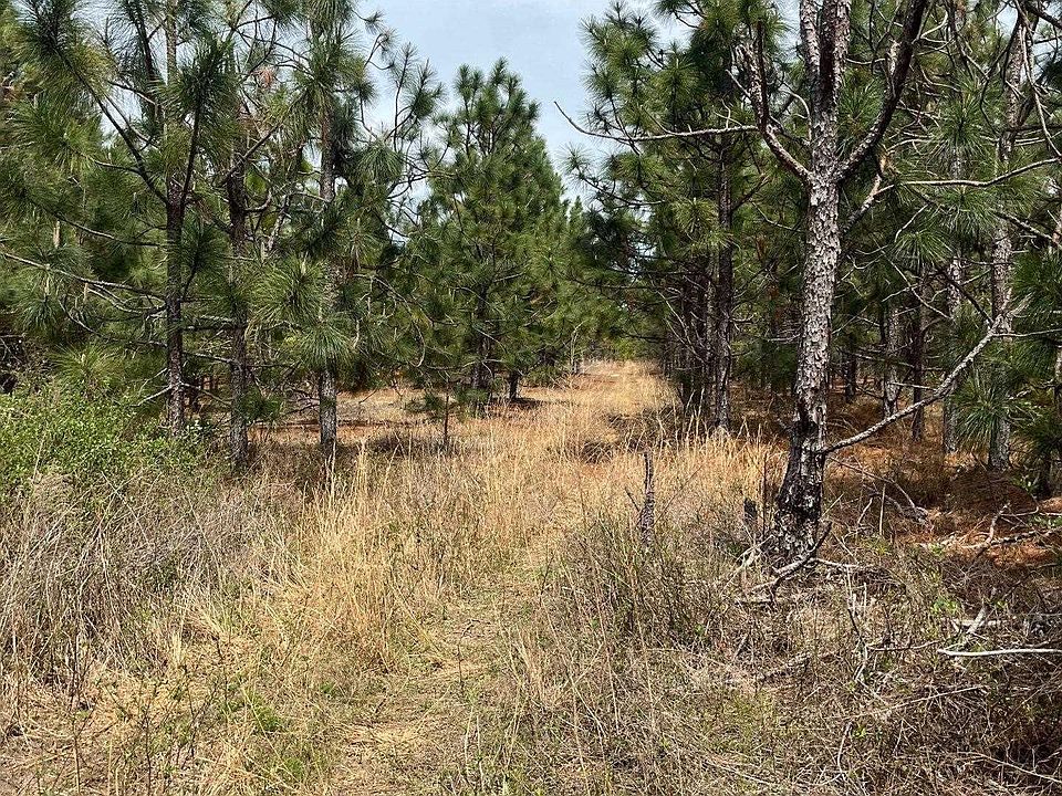 1st image of Bdf 6 Beaverdam Rd #Bdf-6