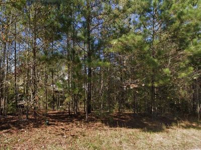 377 Lightness Dr, Auburn, AL, 36832