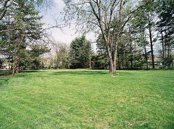 park in rear yard