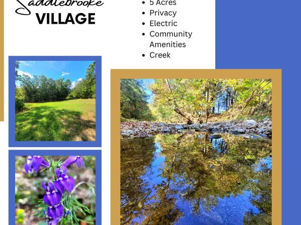 000 Whippoorwill Court, Saddlebrooke, MO 65630