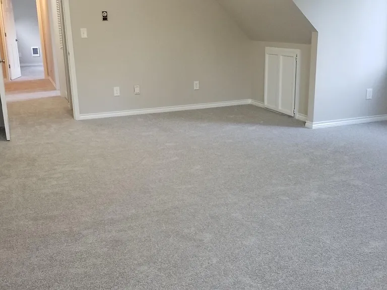 Bonus/bedroom.