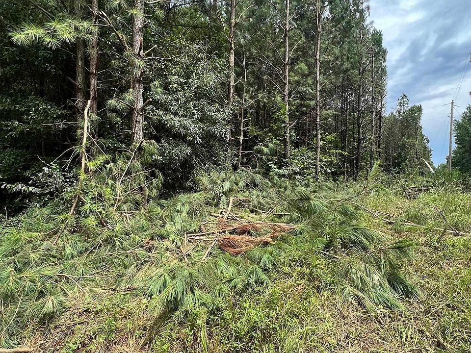 2nd image of County Road 621 From Parcel 1201010000006001