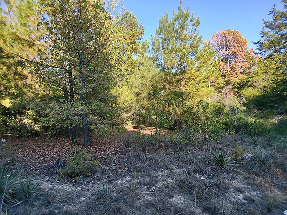 Pines, oaks cedars, maples