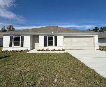 24 Buffalo Plains Ln, Palm Coast, FL, 32137
