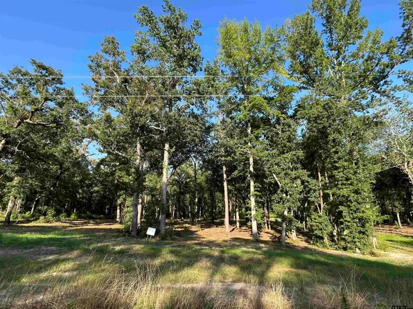 3226 Shadow Pine Dr, Larue, TX 75770