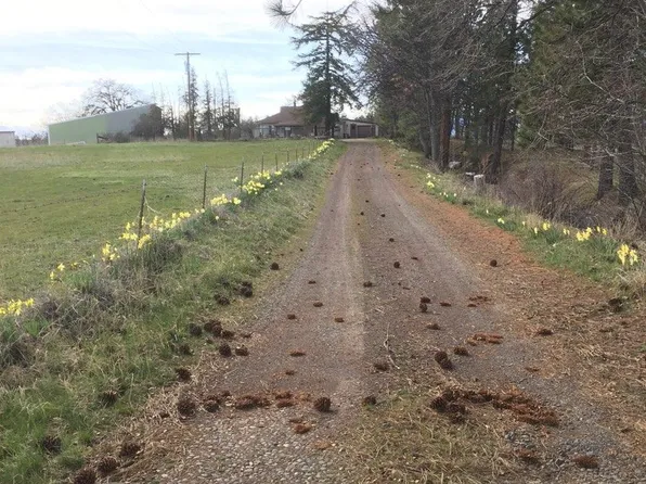 79168 Fa Morrow Rd, Tygh Valley, OR 97063