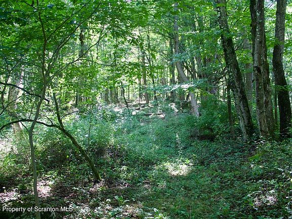 2nd image of 0 Belcher Rd