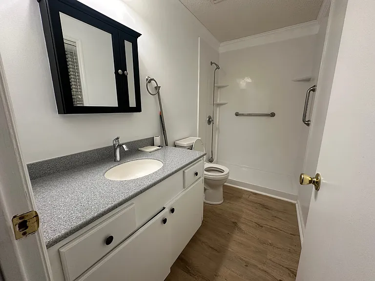 Primary Bath / walk in shower with grab rails