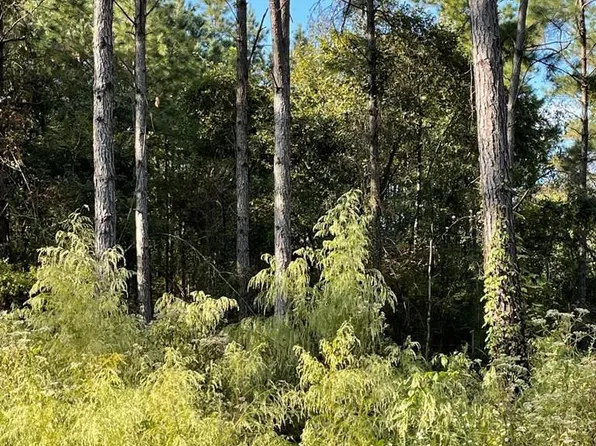 Gary Rd, Liberty, MS 39645