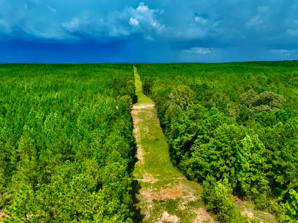 Newman Rd Lot Wp001, Poplarville, MS 39470