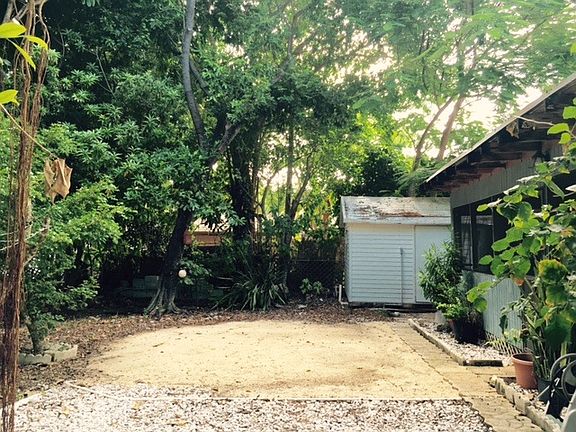 Back yard