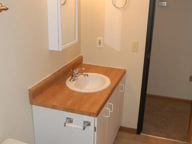 Master bathroom with medicine cabinet