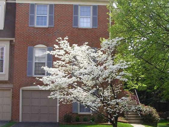 1st image of 4233 Sleepy Lake Dr