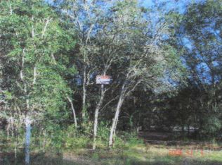 9202 Wheystone Dr, Webster, FL 33597