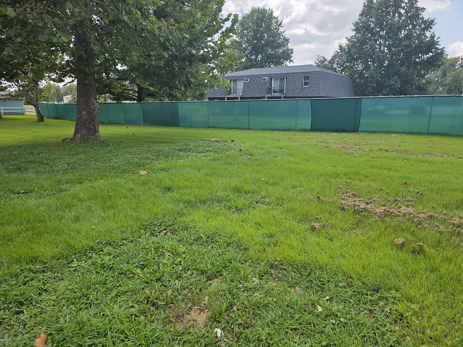 1004 Kimberly Ct — Photo 4