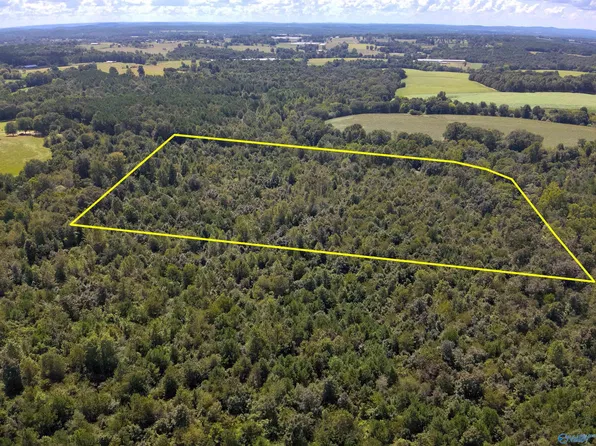 LOT 5 New Harmony Rd, Arab, AL 35016