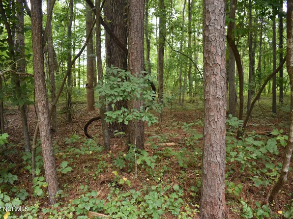 Lot 44 Cottonwood Drive, Blounts Creek, NC 27814