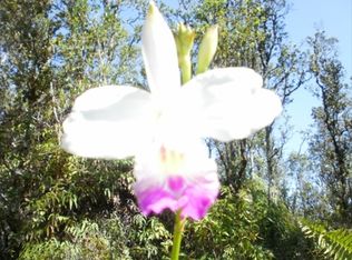 Road 3 Hopue LOT 3203, Mountain View, HI 96771