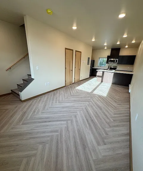 Living room and kitchen