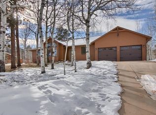 1100 Wagon Pl, Woodland Park, CO 80863