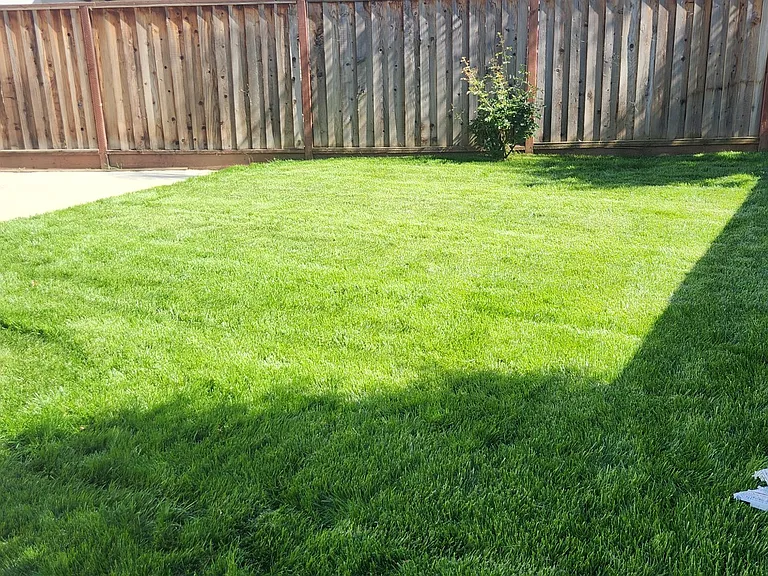 large backyard