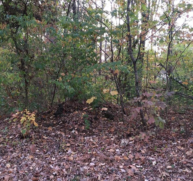 1st image of Edgewood Dr