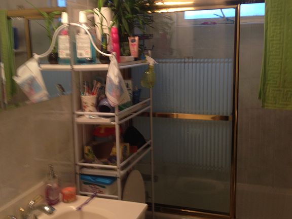 3rd image of 21 Albert St