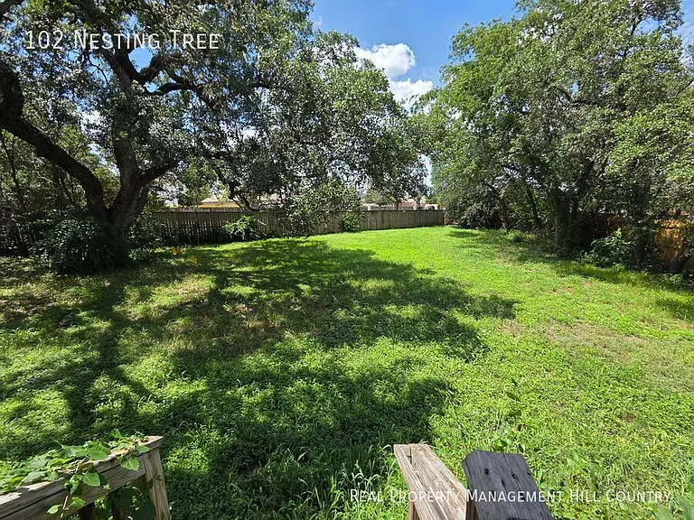 102 Nesting Tree — Photo 22