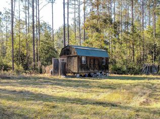 12885 NE 215 St, Fort McCoy, FL 32134